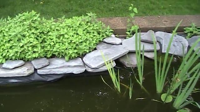 Canon Fs22 Test Video смотреть онлайн