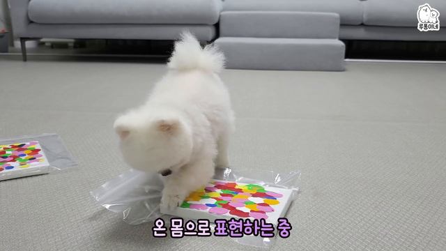 난폭한 강아지가 그림을 그린다면? смотреть онлайн
