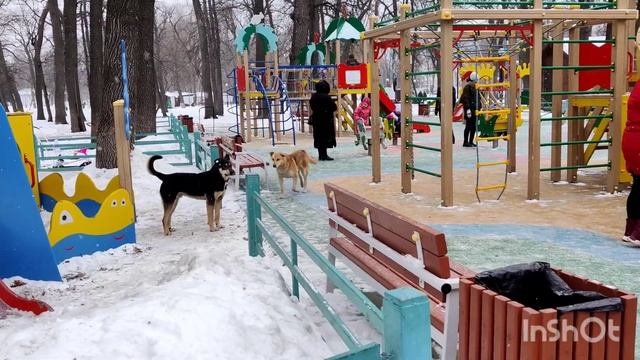 В Самаре в Парке Гагарина собаки захватили детскую площадку