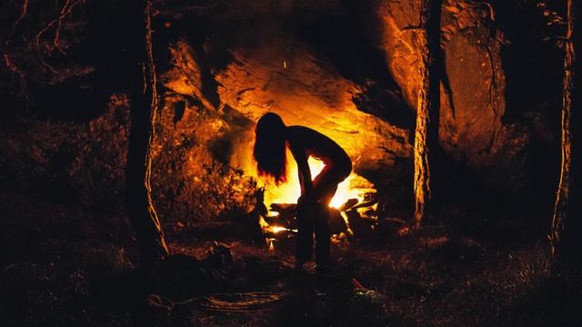 Алексей Мандельштам - Я люблю тебя, жизнь (Белая птица)