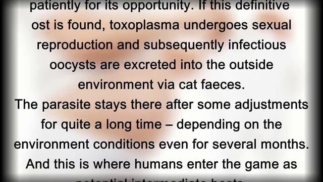 1. Meet … Toxoplasma gondii смотреть онлайн