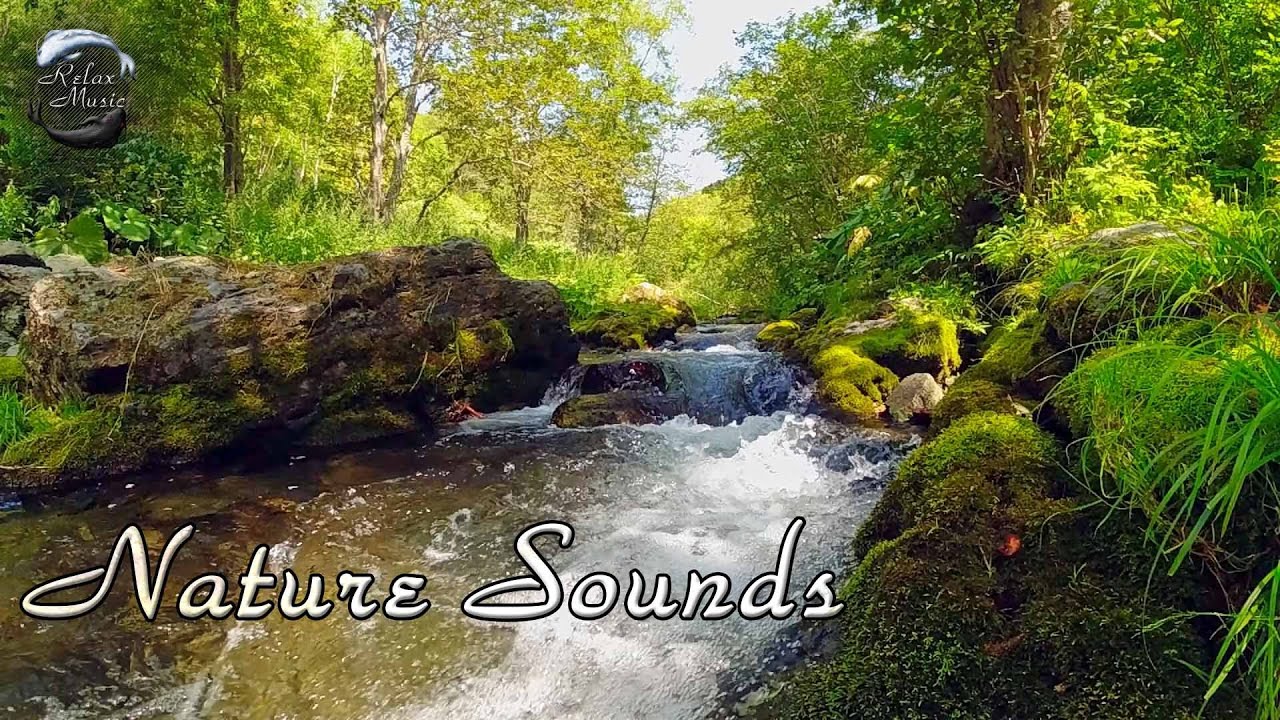Звуки реки для отдыха, снятия стресса, медитации - Видео лесной реки, шум воды и звуки природы смотреть онлайн