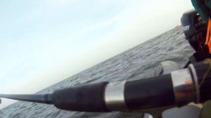 Ловля Салаки | город Балтийск