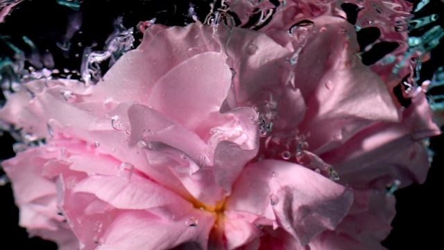 GUERLAIN | L'Art & La Matière: Musc Outreblanc смотреть онлайн