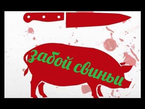 забой свиньи ( чуть подробнее )