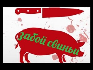 забой свиньи ( чуть подробнее )