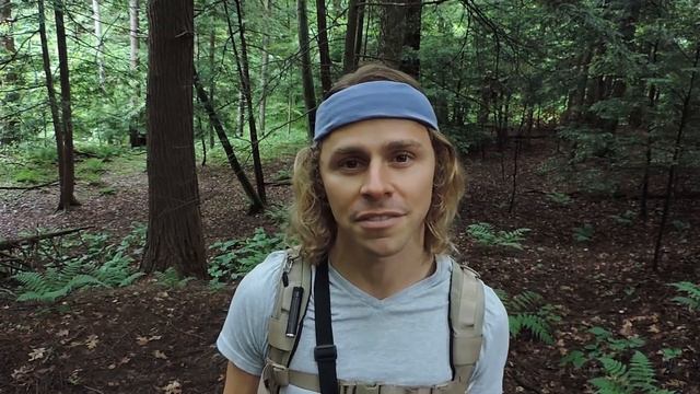 Harvesting Wild Reishi Mushrooms смотреть онлайн