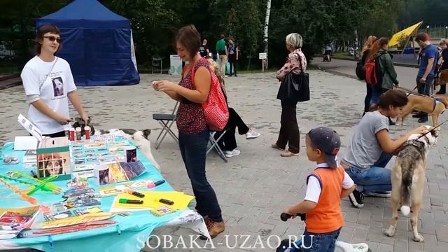 20 августа Всемирный День Бездомных Животных.Выставка собак Приюта Щербинка ЮЗАО SOBAKA-UZAO.RU смотреть онлайн