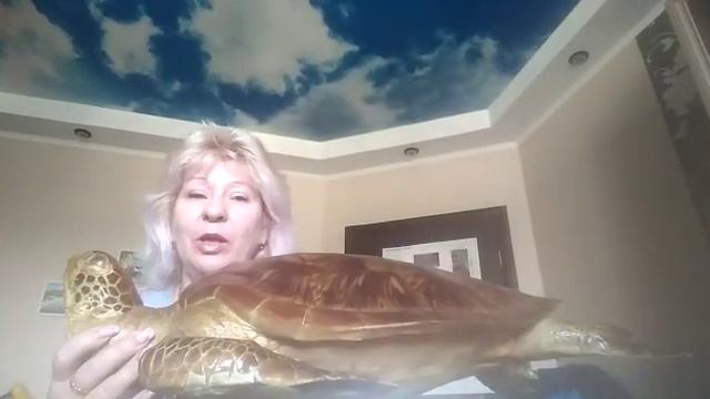 Окружающий мир."Морская черепаха". смотреть онлайн