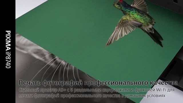 PIXMA IP8740. Обзор с экспертом смотреть онлайн