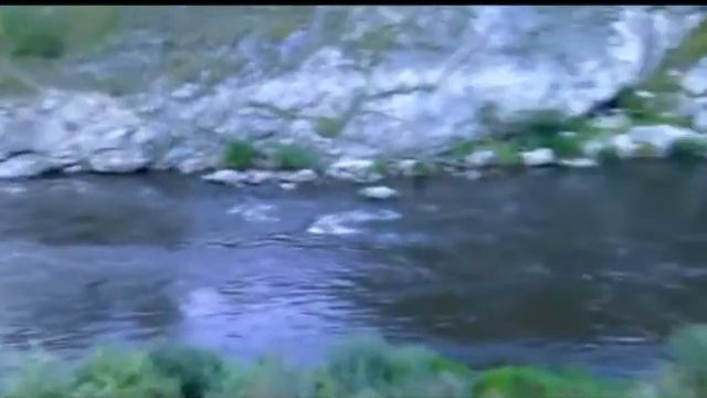 АВГУСТ, 19: последняя прогулка/или как мы шастаем где попало :33