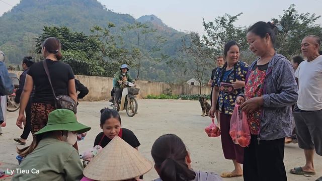 Single Mother 17 Years Old - Picking Tomatoes To Sell & Buying A Breeding Chicken