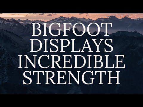 THE MOST EXTRAORDINARY FOOTAGE OF BIGFOOT смотреть онлайн