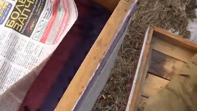 По системе Ковалёва после зимы смотреть онлайн