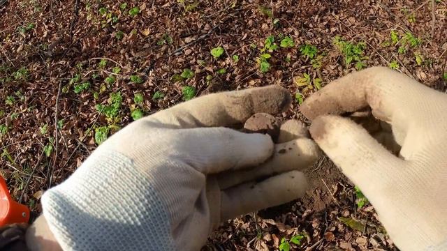 Просто ткнули наугад На удивление мы удивились. смотреть онлайн
