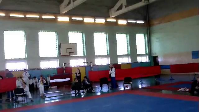 Международное соревнование по шотокан каратэ-до "Зельвенские тигрята 2017" смотреть онлайн