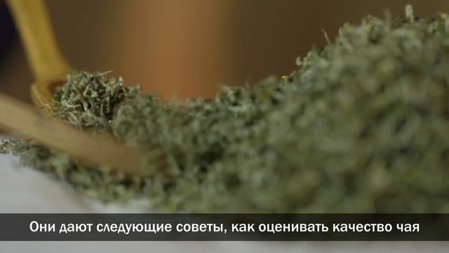 【Жизнь в Гуйчжоу】Как пьют чай в России и Китае: отличия и сходство смотреть онлайн