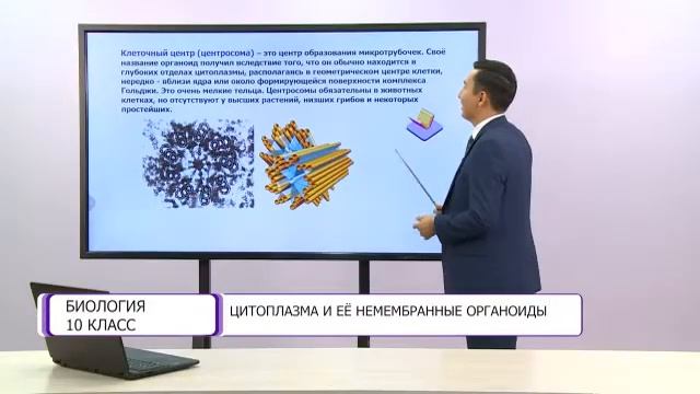 Биология. 10 класс. Цитоплазма и ее немембранные органоиды /16.10.2020/ смотреть онлайн