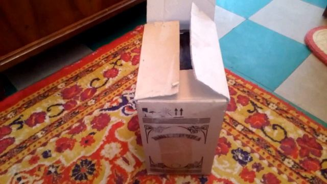 Почему коты любят сидеть в коробке!? смотреть онлайн