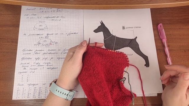 Мастер класс свитер для собаки/ Свитер для собаки с капюшоном/реглан для собаки/ смотреть онлайн