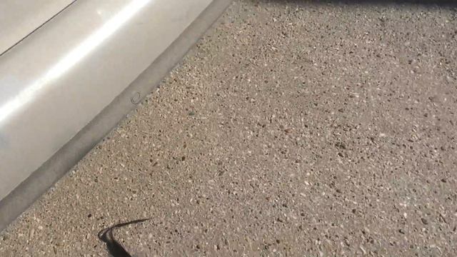 Из глушителя вытянул 7 метров волос смотреть онлайн