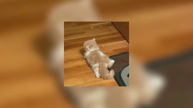 Face - забирай всё что хочешь Speed Up