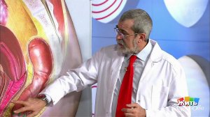 Цистит. Воспаление мочевого пузыря. Жить здорово! Фрагмент выпуска от 13.04.2017