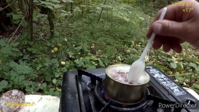 За грибами 2021г. Stels Guepard 800.