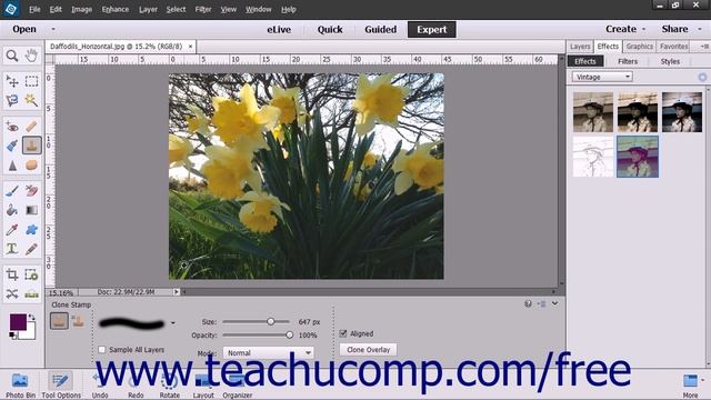 Photoshop Elements 13 Tutorial The Clone Stamp Tool Adobe Training смотреть онлайн