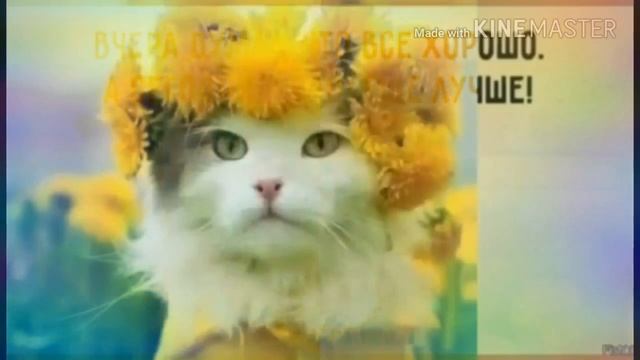 Дружба это не работа !!! смотреть онлайн