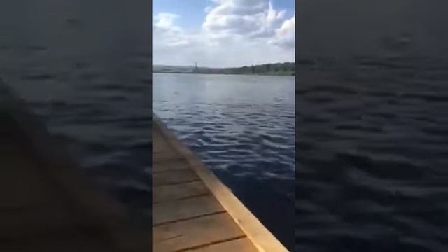 Турбаза Донское ранчо смотреть онлайн