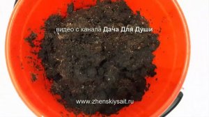 КОКОСОВЫЙ СУБСТРАТ или ЗЕМЛЯНОЙ ГРУНТ для рассады?