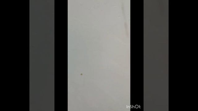 ?Бархатный сарафан Mango❗секонд хэнд распродажа✨описание в телеграм смотреть онлайн