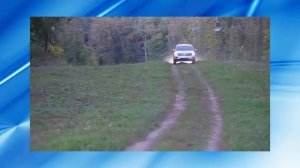 Тест драйв сравнение VW Tiguan против Ford Kuga