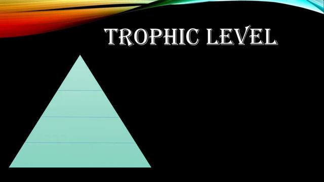 OUR ENVIRONMENT PPT/Class 10 Science Ch 15 PPT/Science class 10 /PPT Ch 15 Sci /PPT Idea/Power poin смотреть онлайн