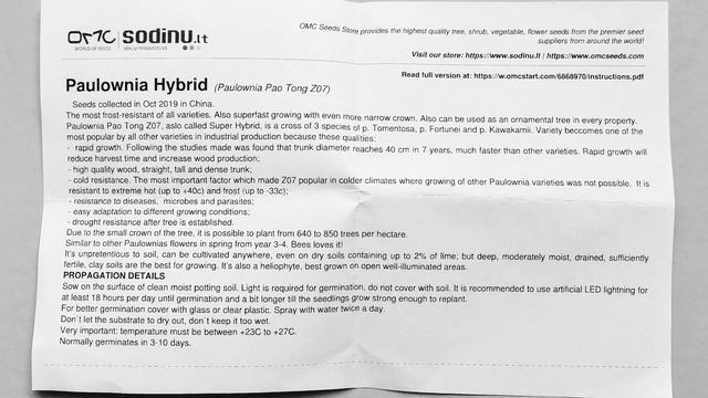 Выращивание павловнии из семян. Сокращенная версия. смотреть онлайн