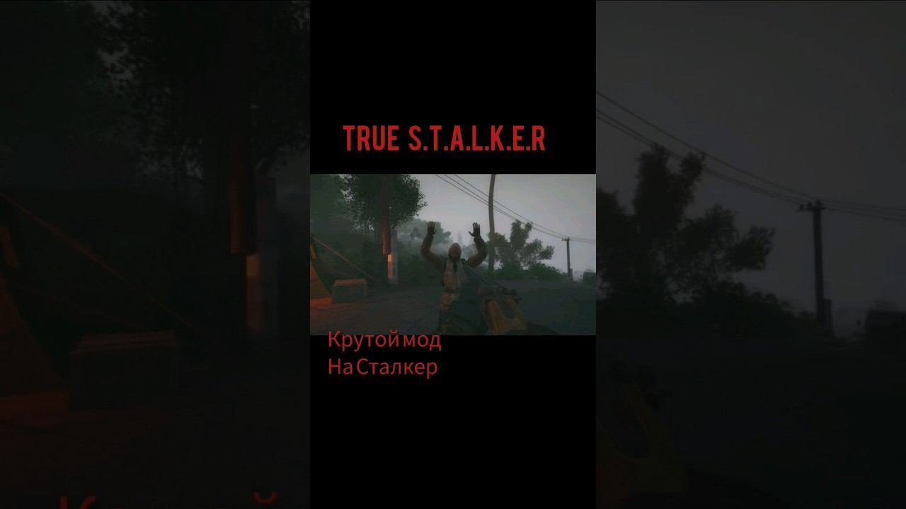 true stalker #subscribe #криминал #survival #action #game #драма смотреть онлайн