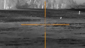 GUIDE TR450. Косуля подошла менее чем на 30 метров. вторая часть. охота тепловизор