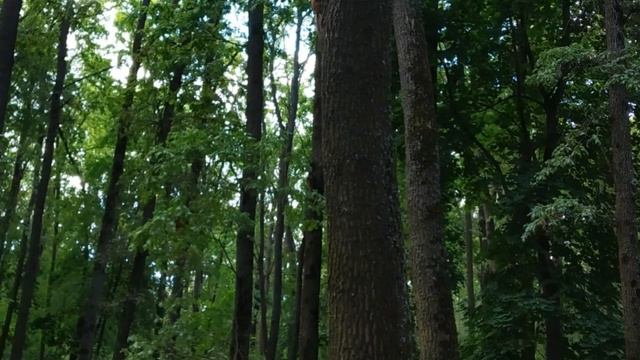 Санаторий Дубрава г.Орел смотреть онлайн