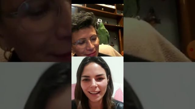 Alejandra RoblesGil❤️ mini plática con Patricia Reyes Spindola смотреть онлайн