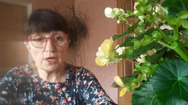 Я научилась просто мудро жить. Автор Анна Ахматова смотреть онлайн