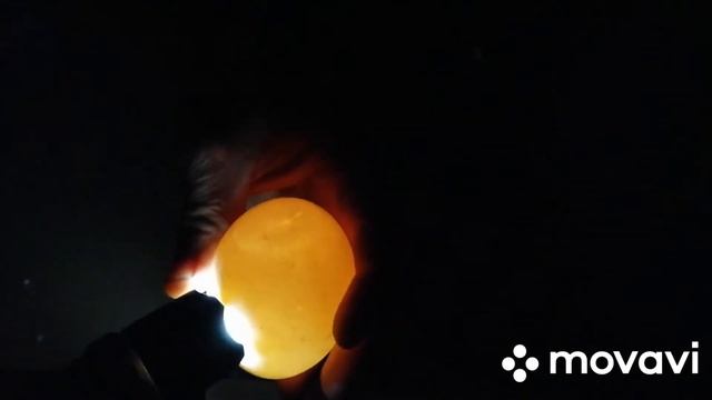 Гусыня села на яйца. Получили по почте яйца. Получится ли? смотреть онлайн