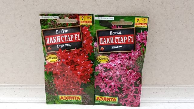 Пентас.Грациозный и неприхотливый.28 ноября 2021г смотреть онлайн