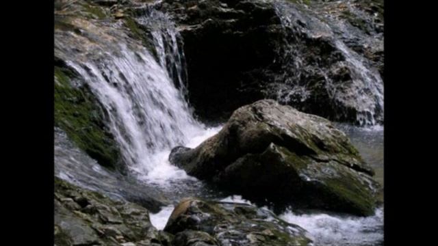 Владимир Асмолов Горная речка смотреть онлайн