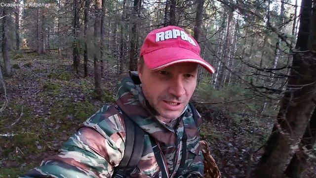 ГРИБЫ В КОНЦЕ НОЯБРЯ! НЕВЕРОЯТНАЯ ГРИБАЛКА Я ЕЩЁ ТАК НЕ СОБИРАЛ! ПЕРЕШЕЛ БОЛОТО, А ТАМ... ГРИБЫ 202 смотреть онлайн