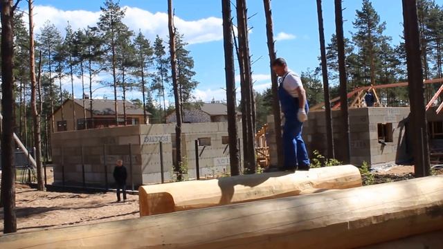 Монтаж сруба из кедра диаметром 45-50 см смотреть онлайн