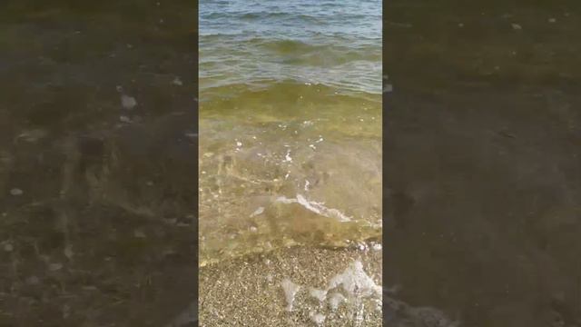 Рыбалка на Черном море 15 мая 2023 года мелкие бычки ловятся прям один за другим а крупного мало смотреть онлайн