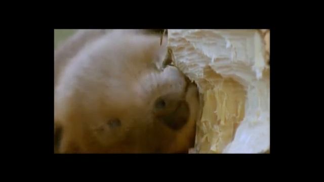 Учебный день. Презентация проекта