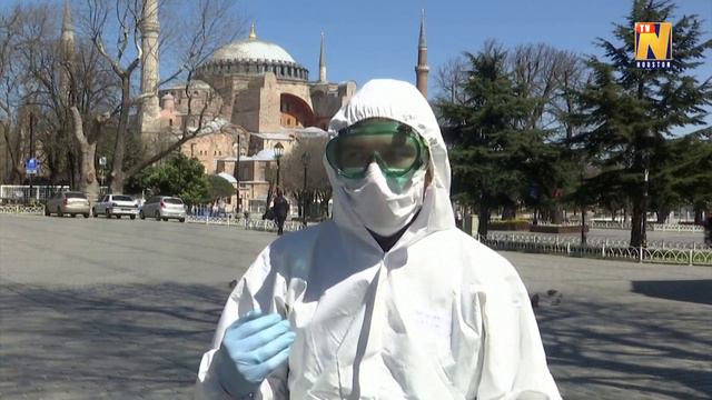 Stray cats struggle for survival in Istanbul смотреть онлайн