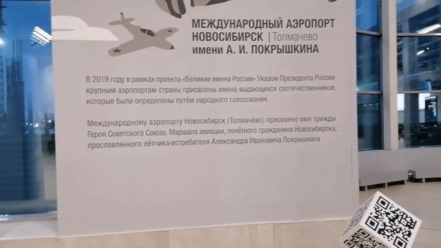 АЭРОПОРТ ТОЛМАЧЕВО НОВОСИБИРСКЕ ?✈??ТЕРМИНАЛЫ ДЛЯ ВНУТРЕННИХ И МЕЖДУНАРОДНЫХ ЛИНИЙ/ФЕВРАЛЬ 2021 смотреть онлайн